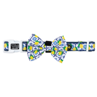 Dog Collar and Bow Tie Amalfi Coast Lemons Italy Yellow Blue Tiles