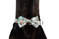 Dog Collar and Bow Tie Barnyard Friends Animals Barn Farm Pig Tractor Windmill Stable Sheep Green