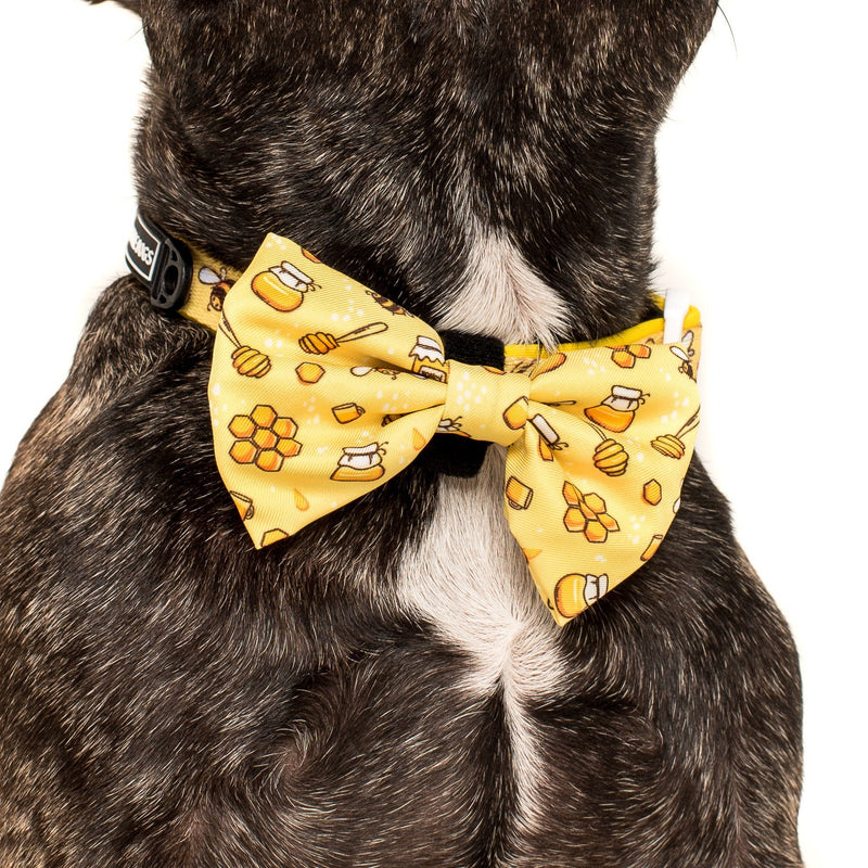 Comfort Dog Collar and Bow Tie Bee-Hiving Bees