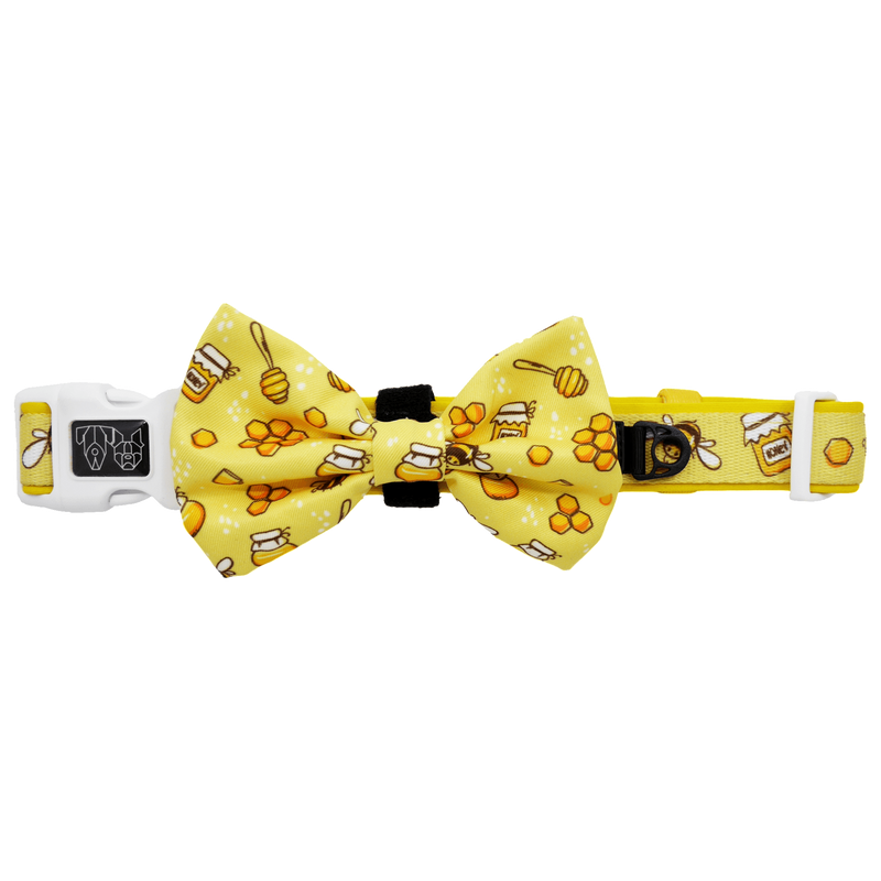 Comfort Dog Collar and Bow Tie Bee-Hiving Bees