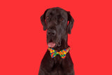 Dog Collar and Bow Tie Blocktastic