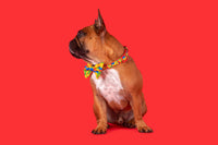 Dog Collar and Bow Tie Blocktastic