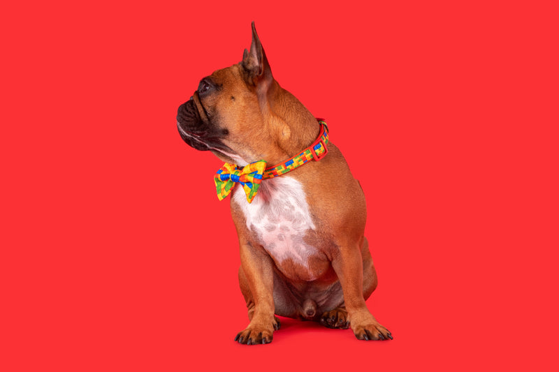 Dog Collar and Bow Tie Blocktastic