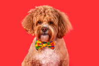 Dog Collar and Bow Tie Blocktastic