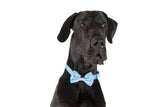 Dog Collar and Bow Tie Neoprene Lining Blue Confetti Birthday