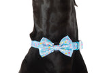 Dog Collar and Bow Tie Neoprene Lining Blue Confetti Birthday