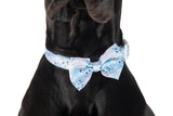 Dog Collar and Bow Tie Blue Splatter Terrazzo