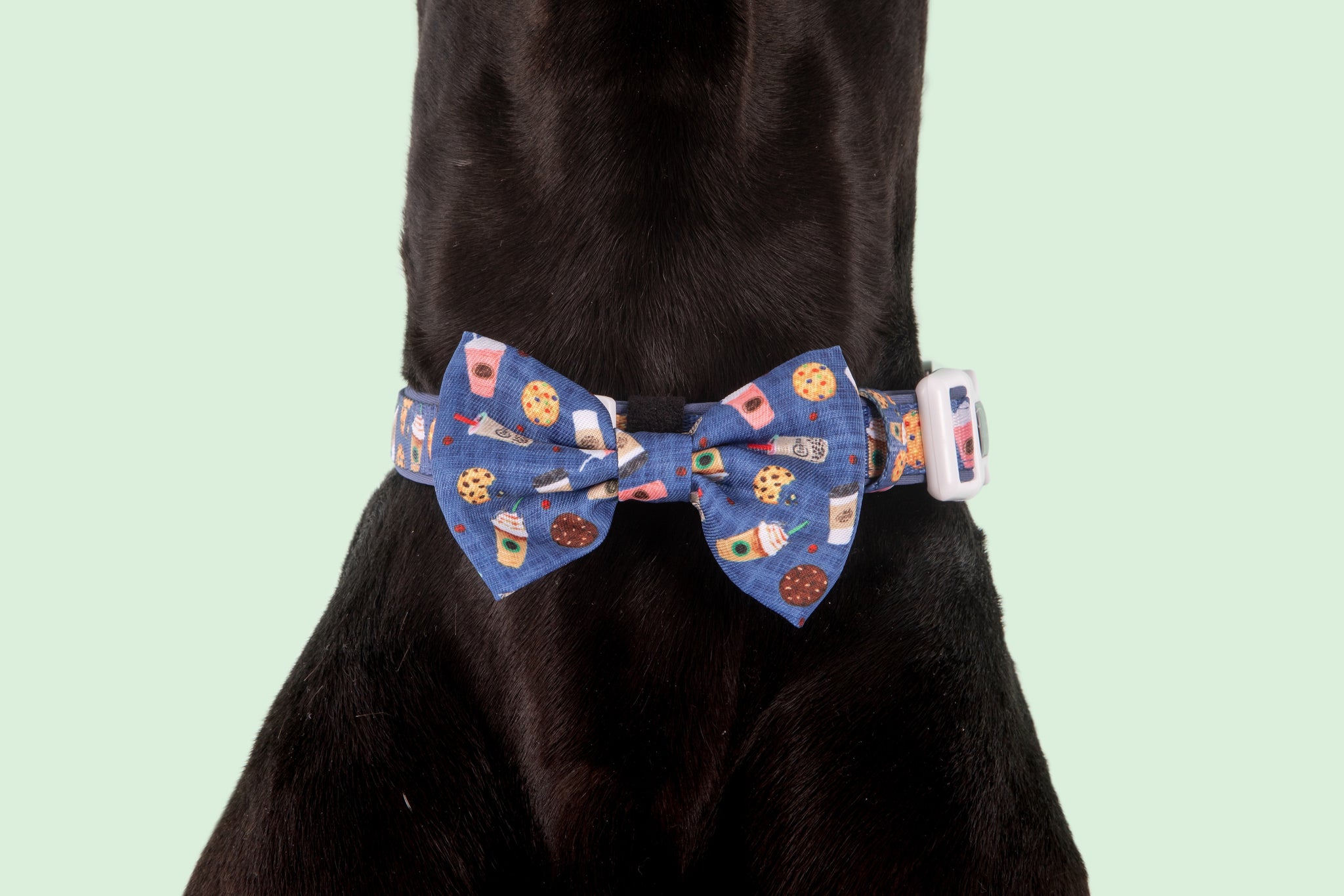 Dog Collar and Bow Tie Cafe O'Clock