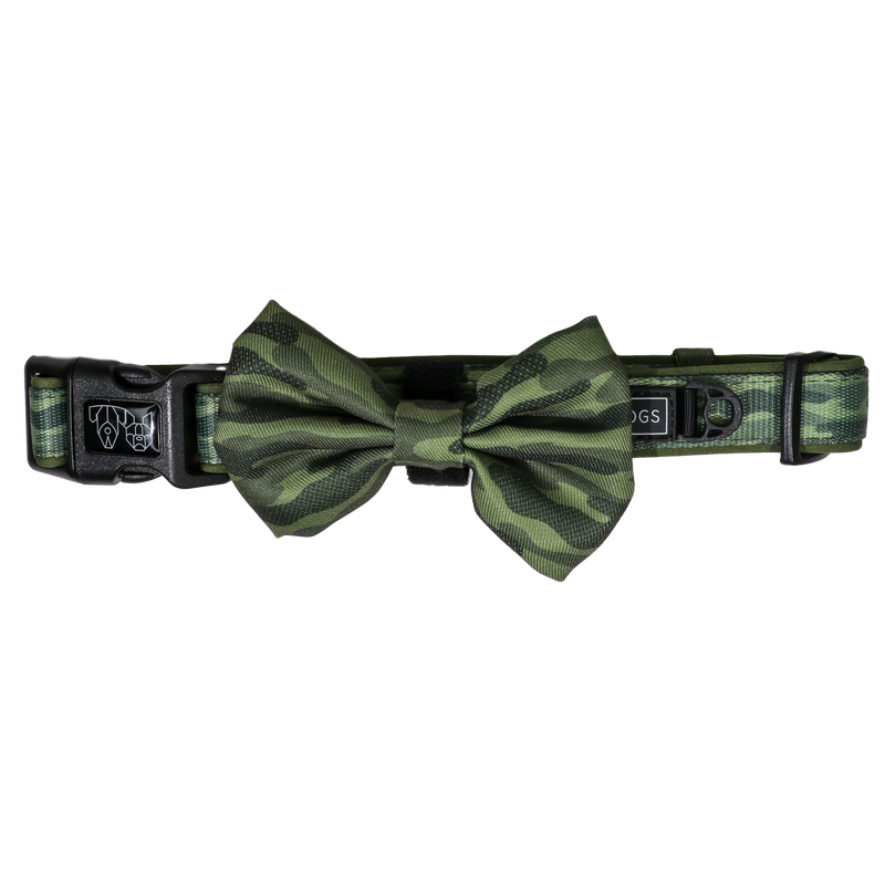 Dog Collar and Bow Tie Camouflaged