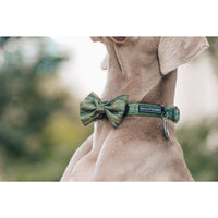 Dog Collar and Bow Tie Camouflaged