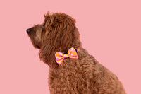 DOG COLLAR & BOW TIE: Check Yo'Self {FINAL SALE}