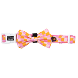 DOG COLLAR & BOW TIE: Check Yo'Self {FINAL SALE}