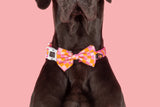 DOG COLLAR & BOW TIE: Check Yo'Self {FINAL SALE}