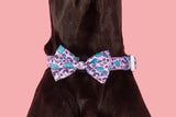 DOG COLLAR & BOW TIE: Cloudland {FINAL SALE}