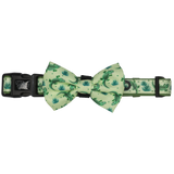 DOG COLLAR & BOW TIE: Crikey Croc {FINAL SALE}