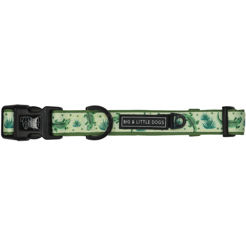 DOG COLLAR & BOW TIE: Crikey Croc {FINAL SALE}