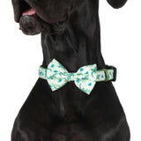 DOG COLLAR & BOW TIE: Crikey Croc {FINAL SALE}