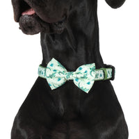 DOG COLLAR & BOW TIE: Crikey Croc {FINAL SALE}