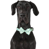 DOG COLLAR & BOW TIE: Crikey Croc {FINAL SALE}