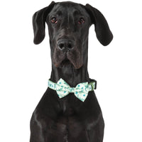 DOG COLLAR & BOW TIE: Crikey Croc {FINAL SALE}