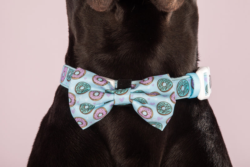 Dog Collar and Bow Tie Donut Kill My Vibe Blue Version