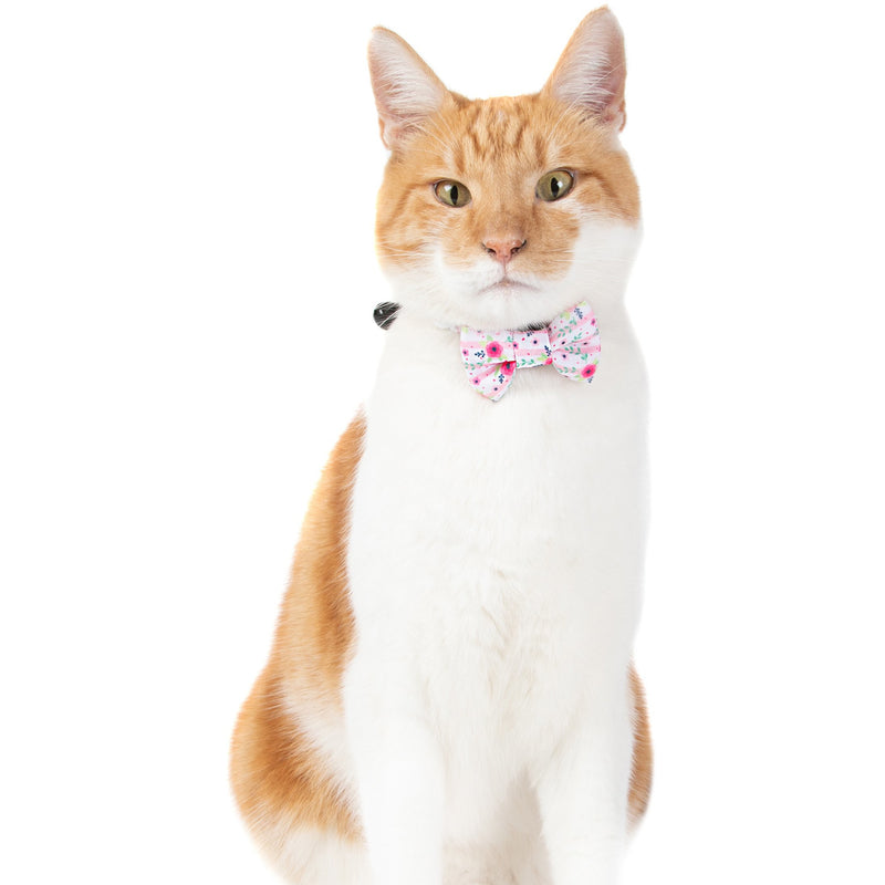 Cat Collar and Bow Tie Fancy FloralsCat Collar and Bow Tie Fancy Florals
