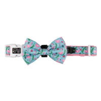 Dog Collar and Bow Tie Flocking Fabulous Flamingoes