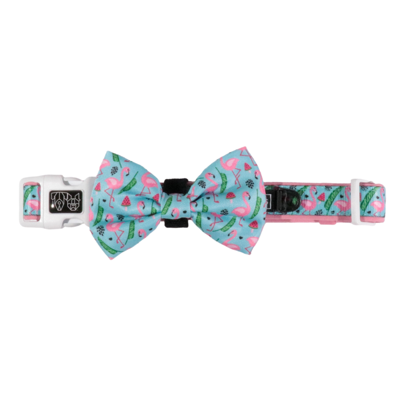 Dog Collar and Bow Tie Flocking Fabulous Flamingoes