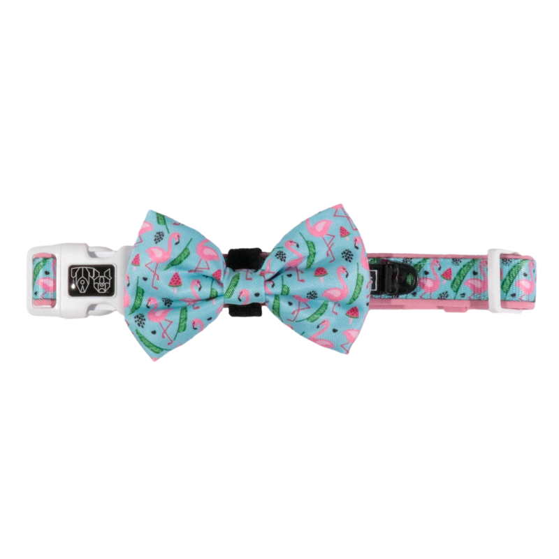 Dog bow tie collars best sale for sale
