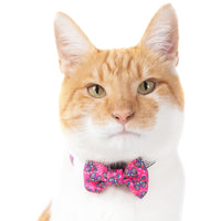 Cat Collar and Bow Tie Flutterly Fab