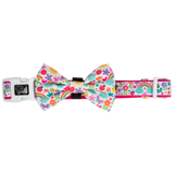 Dog Comfort Collar and Bow Tie Follow The Rainbow Rainbows Pink Sunshine Flowers Pastels Colourful Girl