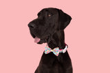 Dog Comfort Collar and Bow Tie Follow The Rainbow Rainbows Pink Sunshine Flowers Pastels Colourful Girl