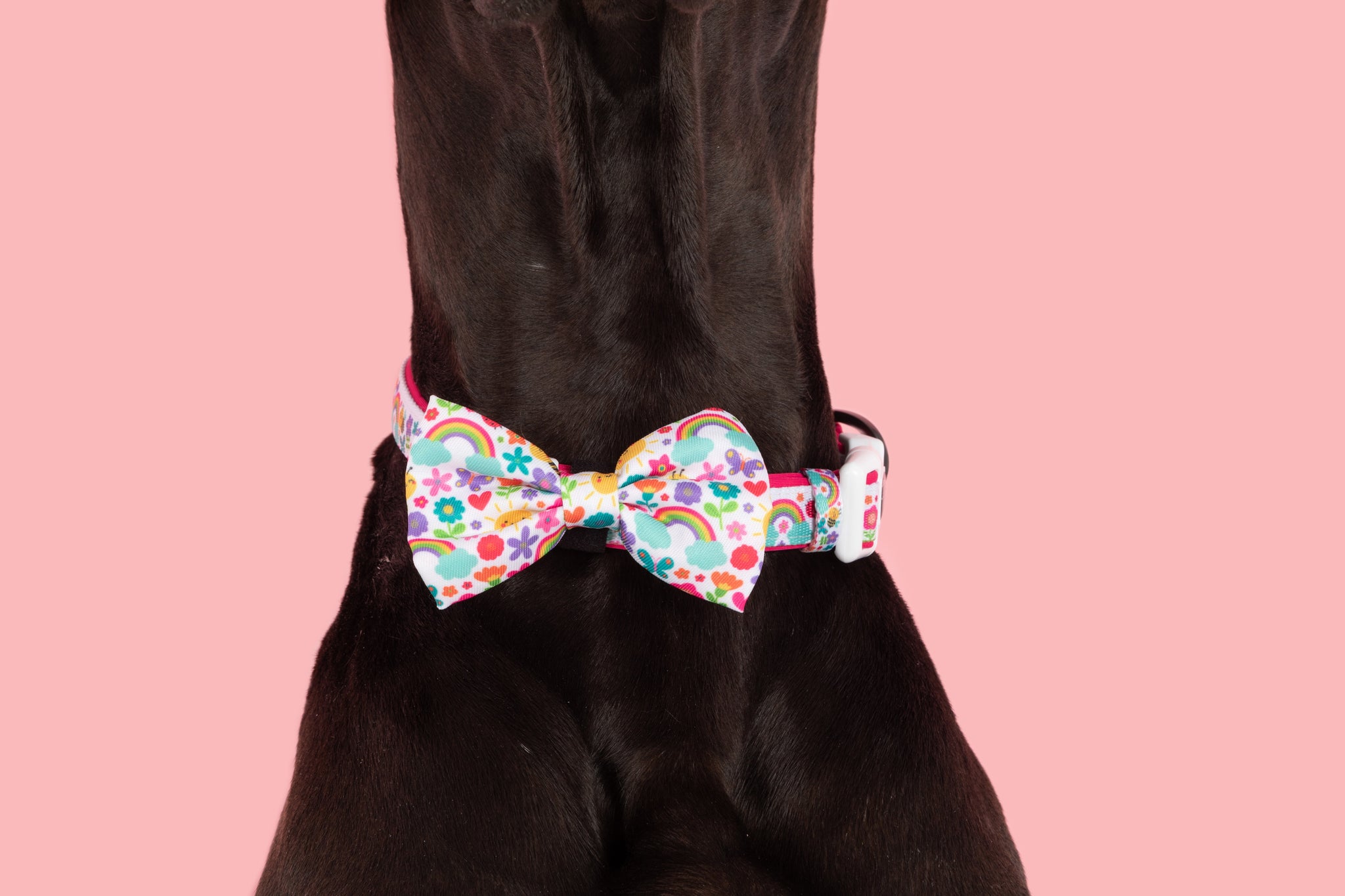 Dog Comfort Collar and Bow Tie Follow The Rainbow Rainbows Pink Sunshine Flowers Pastels Colourful Girl