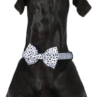 DOG COLLAR & BOW TIE: Gettin' Spotty With It {FINAL SALE}