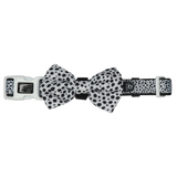 DOG COLLAR & BOW TIE: Gettin' Spotty With It {FINAL SALE}