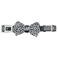 DOG COLLAR & BOW TIE: Gettin' Spotty With It {FINAL SALE}