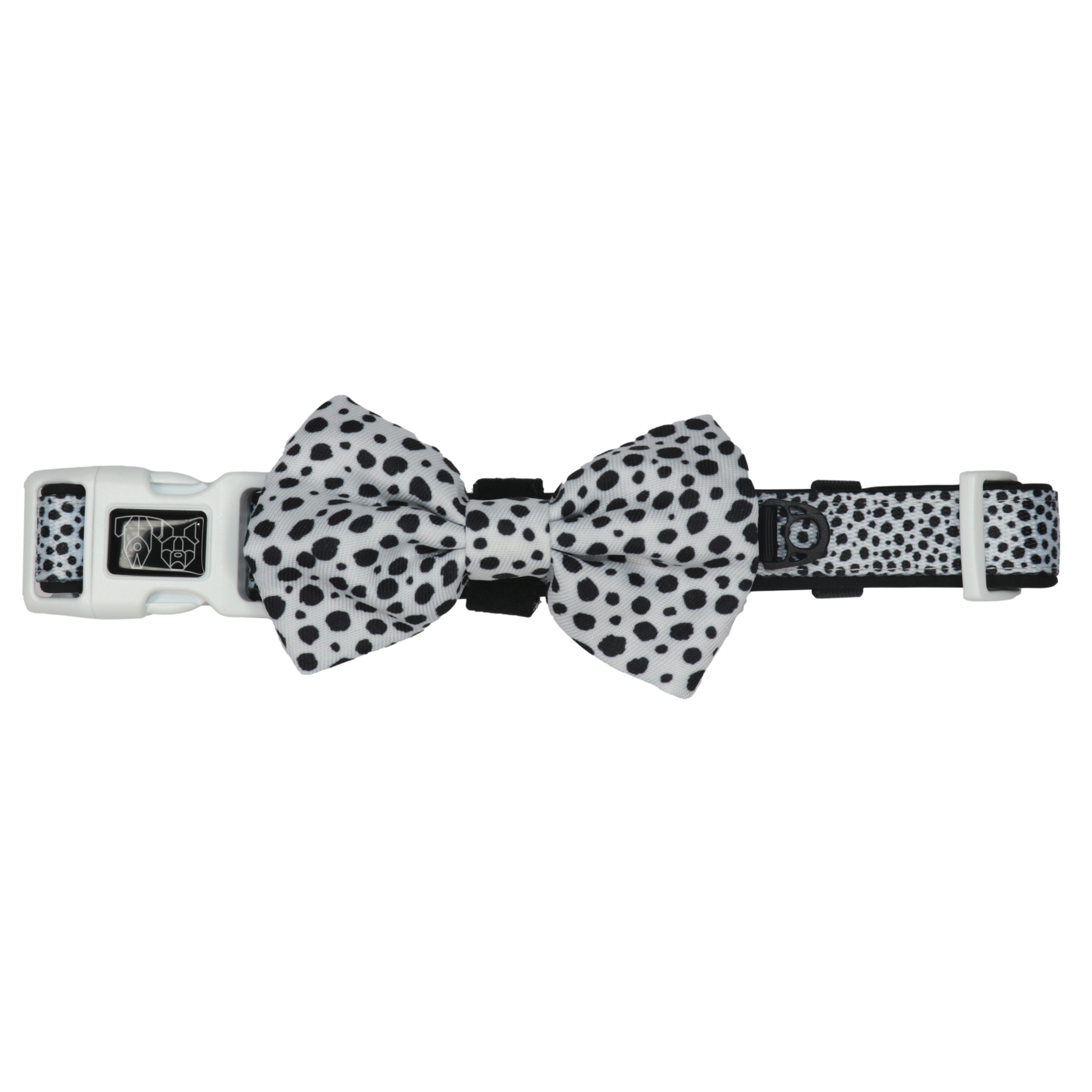 DOG COLLAR & BOW TIE: Gettin' Spotty With It {FINAL SALE}