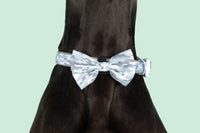 DOG COLLAR (+ BOW TIE option): Grey Camo