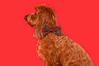 Dog Collar and Bow Tie Happy Holidays Plaid