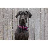 DOG COLLAR & BOW TIE: Her Plaid {FINAL SALE}