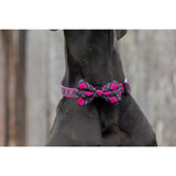 DOG COLLAR & BOW TIE: Her Plaid {FINAL SALE}