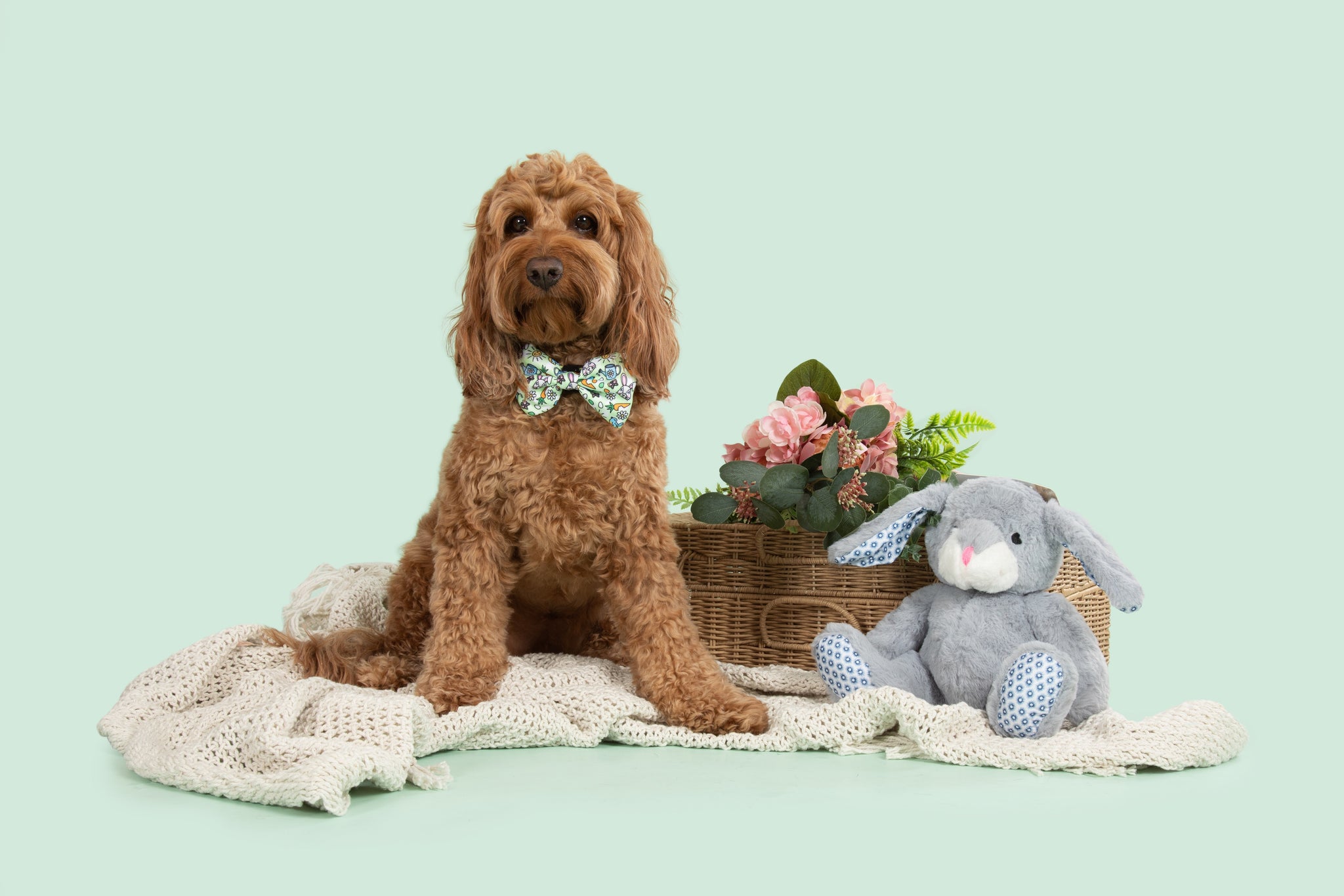 Dog Collar and Bow Tie Hey There Hop Stuff Easter Bunny Garden Carrot Eggs