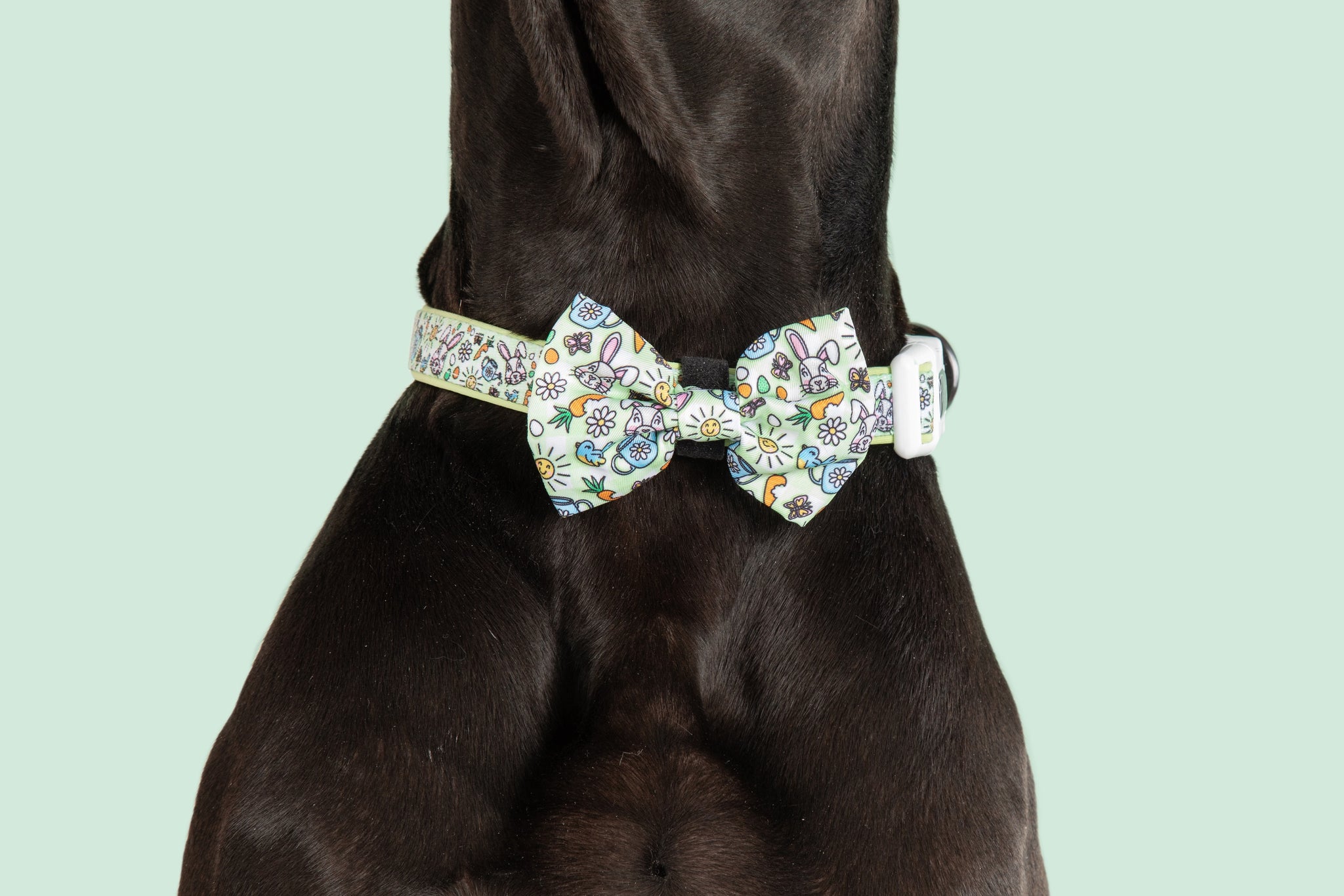 Dog Collar and Bow Tie Hey There Hop Stuff Easter Bunny Garden Carrot Eggs