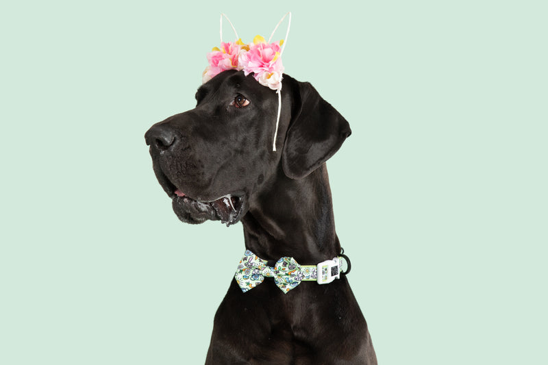Dog Collar and Bow Tie Hey There Hop Stuff Easter Bunny Garden Carrot Eggs