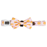 DOG COLLAR & BOW TIE: I Flippin' Love You {FINAL SALE}