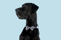 Dog Collar and Bow Tie I Udderly Adore You Cow Print