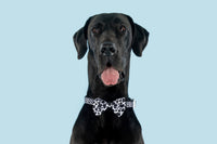 Dog Collar and Bow Tie I Udderly Adore You Cow Print