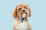 Dog Collar and Bow Tie I Udderly Adore You Cow Print