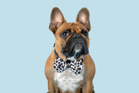 Dog Collar and Bow Tie I Udderly Adore You Cow Print