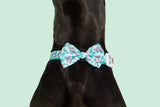 DOG COLLAR & BOW TIE: Koala-fied Tree Hugger {FINAL SALE}